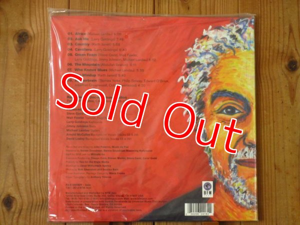 画像2: 世界300枚限定プレスの希少アナログ盤！■Steve Gadd Band / Gadditude (2)