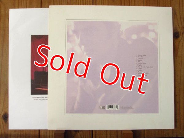 画像2: Daniel Lanois / Belladonna (2)