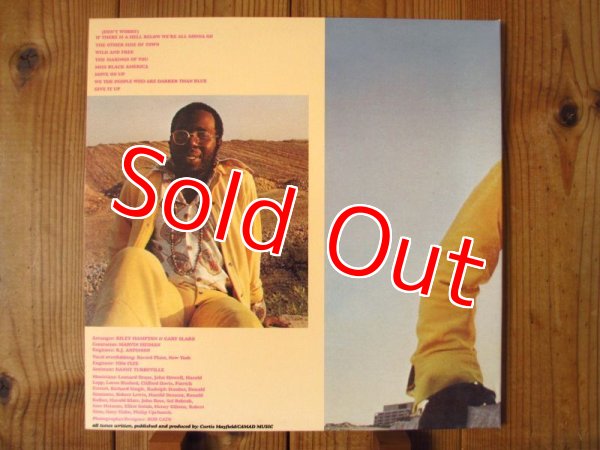 画像3: Curtis Mayfield / Curtis (3)