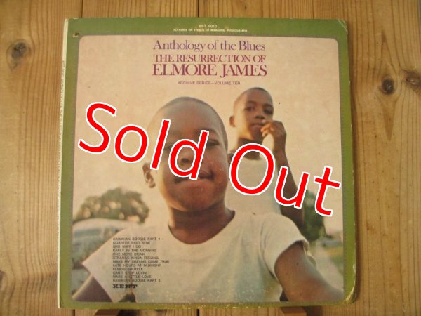 画像1: Elmore James / The Resurrection Of Elmore James (1)
