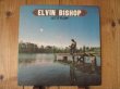 画像1: Elvin Bishop / Let It Flow (1)