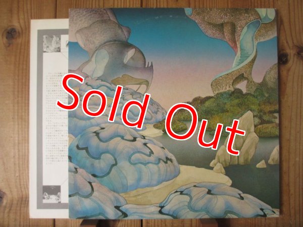画像3: Steve Howe / Beginnings (3)