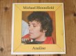 画像1: Michael Bloomfield / Analine (1)