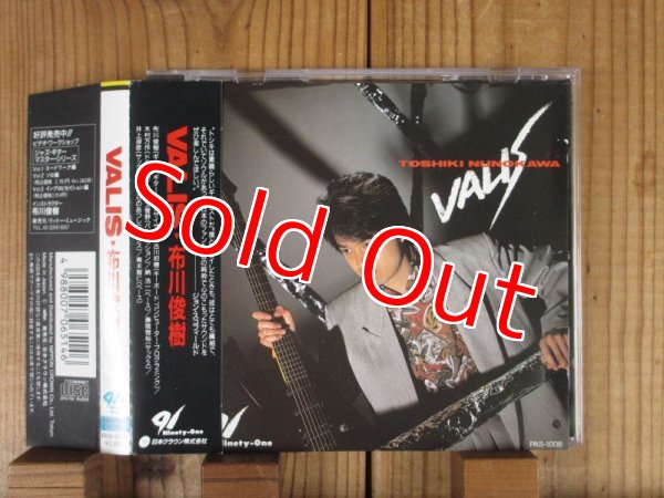 画像1: 布川俊樹 Valis / Valis (1)