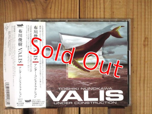 画像1: 布川俊樹 Valis / Under Construction (1)