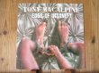 画像1: Tony MacAlpine / Edge Of Insanity (1)