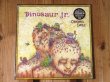 画像1: Dinosaur Jr / Chocomel Daze (1)