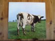 画像1: Pink Floyd / Atom Heart Mother (1)