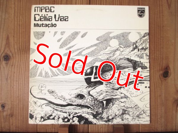 画像1: 知る人ぞ知るパットメセニー参加作！■Pat Metheny - Celia Vaz / Mutacao (1)