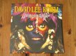 画像1: David Lee Roth / Sonrisa Salvaje (1)