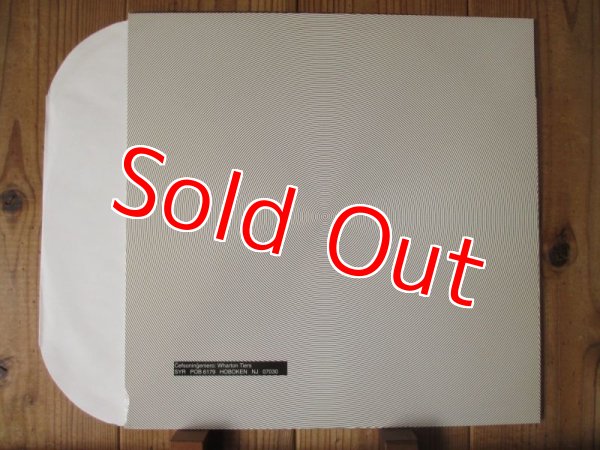 画像2: Sonic Youth & Jim O'Rourke / Invito Al Cielo (2)