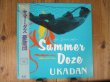 画像1: 憂歌団 / Summer Doze ~For Lovers Only~ (1)