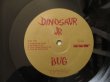 画像3: Dinosaur Jr. / Bug (3)