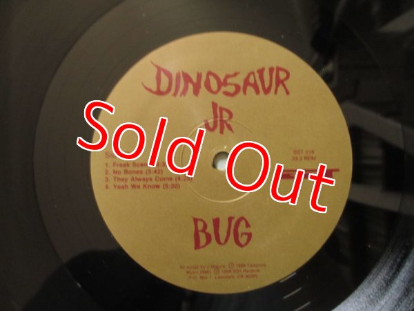 画像3: Dinosaur Jr. / Bug (3)