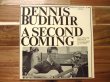 画像1: Dennis Budimir / A Second Coming (1)