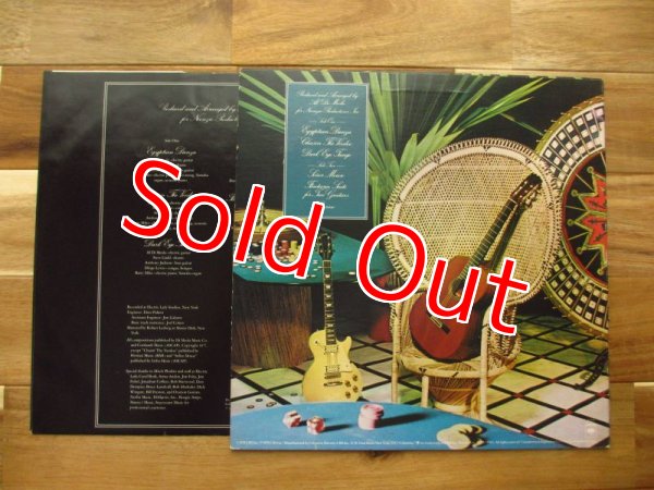 画像2: Al Di Meola / Casino (2)