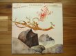 画像1: John McLaughlin / Shakti With John McLaughlin - Natural Elements (1)
