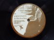 画像3: Karen Dalton / In My Own Time (3)