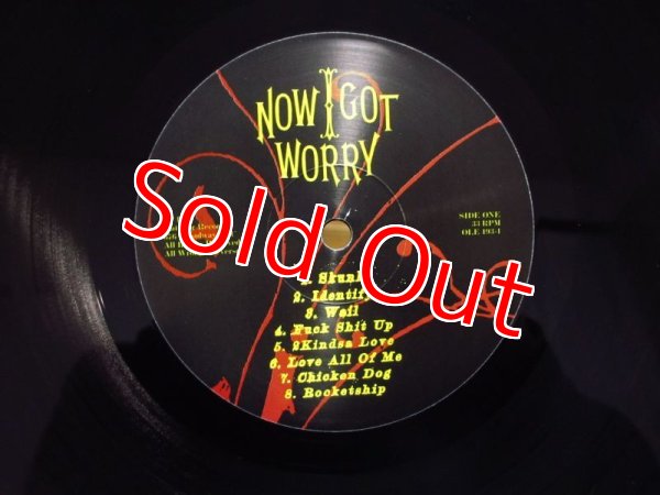 画像3: The Jon Spencer Blues Explosion / Now I Got Worry (3)