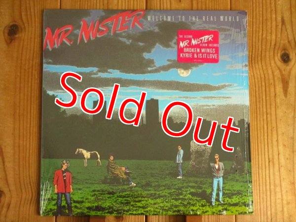 画像1: Mr. Mister / Welcome To The Real World (1)