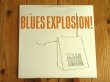 画像1: The Jon Spencer Blues Explosion / Orange (1)
