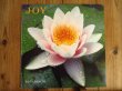 画像1: Paul Greaver / Joy (1)