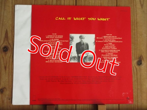 画像2: Wilko Johnson / Call It What You Want (2)
