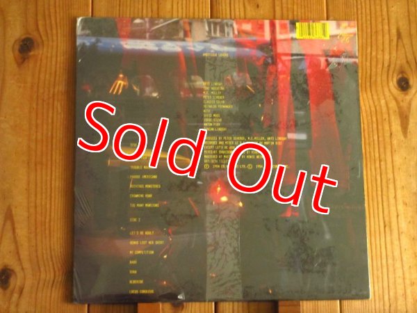 画像2: 未開封デッドストック！アートリンゼイの記念すべき1stソロ・アルバムが入荷！■Arto Lindsay - Ambitious Lovers / Envy (2)
