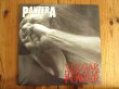 画像1: Pantera / Vulgar Display Of Power (1)