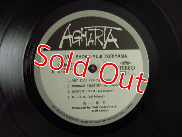 画像3: 鳥山雄司 / Silver Shoes (3)