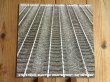 画像1: パットメセニー参加！■Steve Reich / Different Trains - Electric Counterpoint (1)