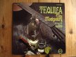 画像1: Wes Montgomery / Tequila (1)