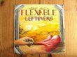 画像1: Steve Vai / Flex-Able Leftovers (1)