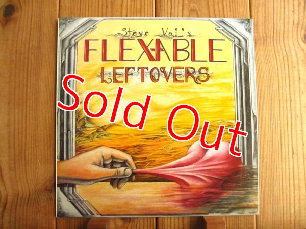 画像1: Steve Vai / Flex-Able Leftovers (1)