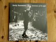 画像1: 限定プレス！アンディサマーズの2022年作品がアナログ盤で入荷！■Andy Summers / Harmonics Of The Night (1)