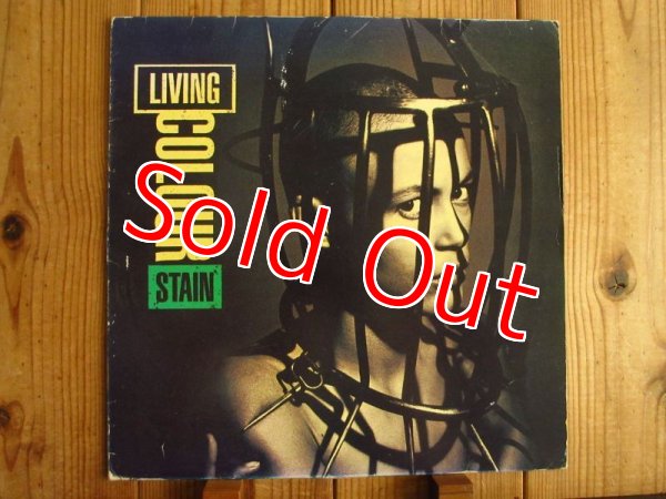 画像1: Living Colour / Stain (1)