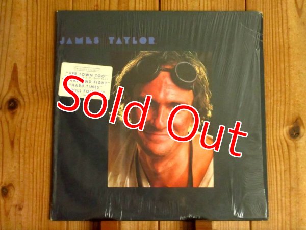 画像1: James Taylor / Dad Loves His Work (1)