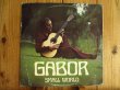 画像1: Gabor Szabo / Small World (1)