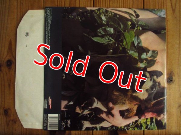 画像3: Fleetwood Mac / Mr. Wonderful (3)