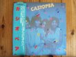 画像1: Casiopea / Casiopea (1)