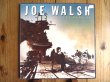 画像1: Joe Walsh / You Bought It - You Name It (1)