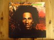 画像1: Bob Marley & The Wailers / Natty Dread (1)