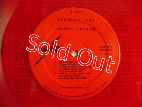 画像3: Danny Gatton / Redneck Jazz (3)