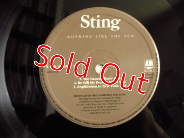 画像3: Sting / Nothing Like The Sun (3)