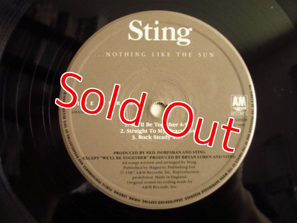 画像4: Sting / Nothing Like The Sun (4)