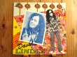 画像1: David Lindley / Mr. Dave (1)