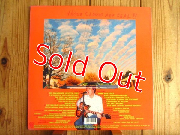 画像2: The Flaming Lips / Clouds Taste Metallic (2)