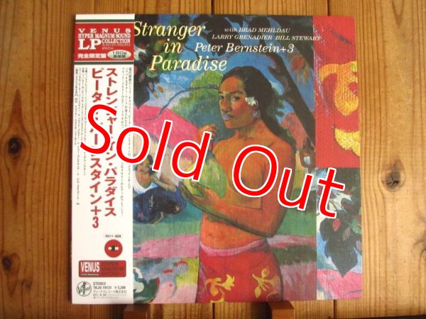 画像1: Peter Bernstein / Stranger In Paradise (1)