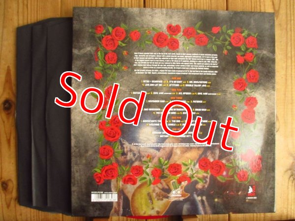 画像3: Guns N' Roses / Live Chile 1992 (3)