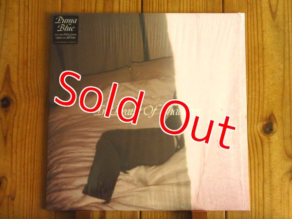 画像1: Puma Blue / In Praise Of Shadows (1)